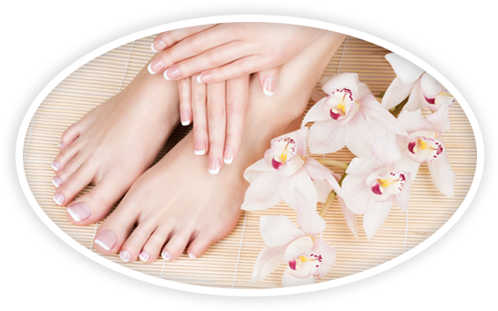 cta-packages-circ Packages